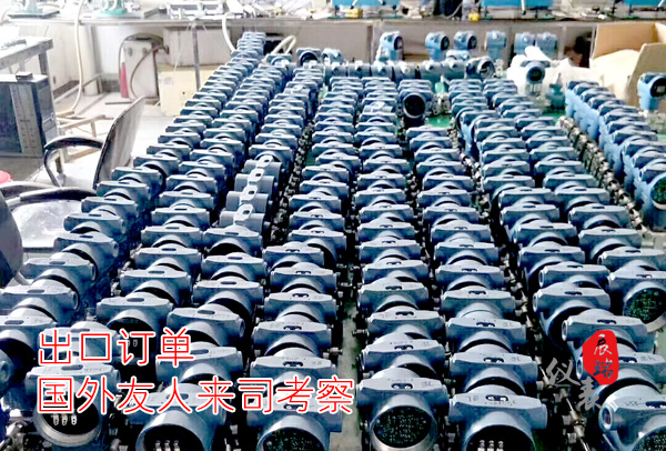 3051壓力差壓變送器外貿出口訂單,客戶現場考察